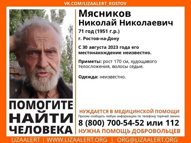 Фото: общественное движение "Лиза Алерт"