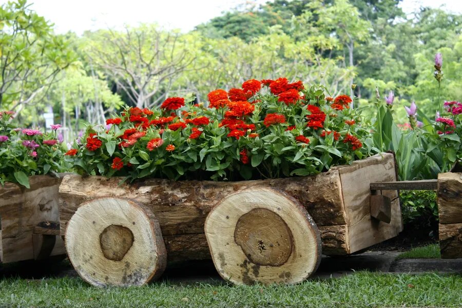 Источник: shutterstock.com