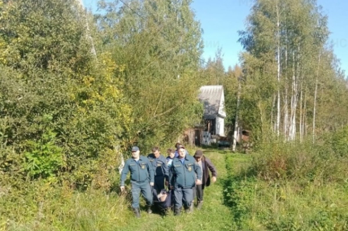    В Тверской области сотрудники МЧС вынесли мужчину из леса на носилках