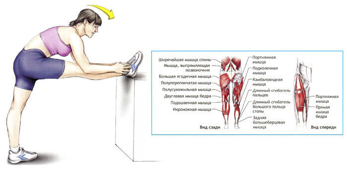 Александр Яковлев