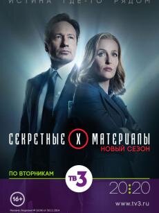 Телесериал «Секретные материалы» вышедший в 1993 году и до настоящего времени, остаётся популярным и актуальным. Несколько поколений выросло на данном сериале. Одни зрители считают, что факты, представленные в фильме, имеют научное толкование. Другие воспринимают отношения секретных агентов Фокса Малдера и Даны Скалли, как образец дружбы партнёров. До сих пор остаётся загадкой, как создатели сериала привлекли к телеэкранам, многомиллионную публику по всему миру.
В 11 сезоне агентам вновь предстоит бороться с запутанными и жестокими преступлениями. Работа Малдера и Скалли не похожа на простых агентов. Расследуют главные герои не простую бытовуху, а похищение людей пришельцами и нападение мутантов на мирное население, трансформацию людей в оборотней, упырей и другие паранормальные случаи.
Дана Скалли скептик по натуре и предполагает, что всё это неудачные научные эксперименты. Фокс напротив уверен в реальное существование инопланетян и фриков и убежден, что ими проводятся опыты над простыми людьми.
Но расхождения во мнениях агентов не вредит слаженной работе и безупречному выполнению своего долга. В секретных материалах хранится много дел. Простым людям, о которых лучше всего не знать.