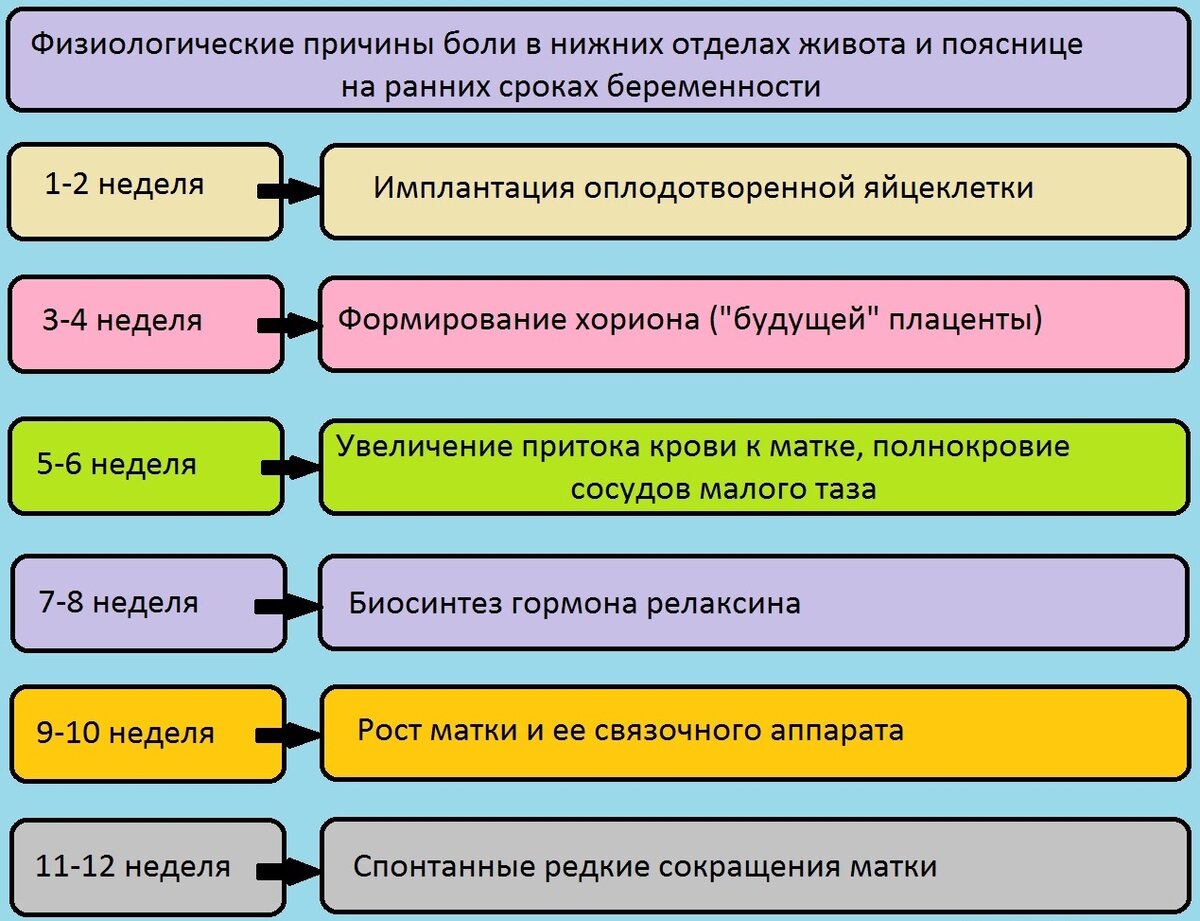 3 недели беременности ... | Жизнь в утробе матери | Дзен