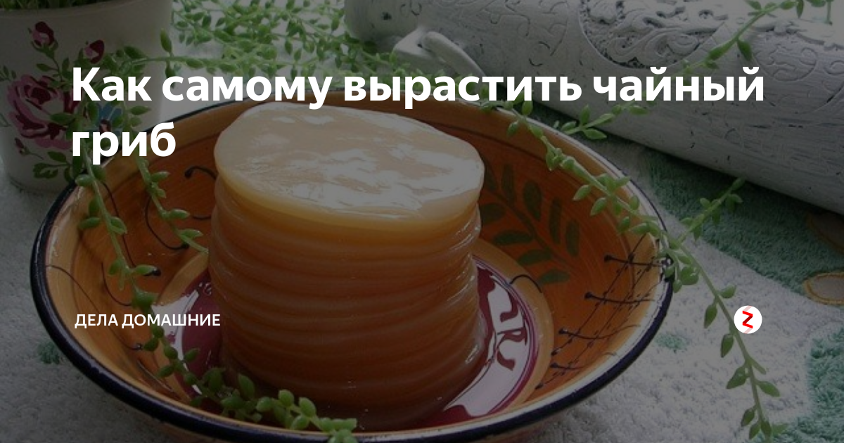 Грибы при диабете 2. Можно ли пить гриб при сахарном диабете. Ы при сахарном диабете. Чага для чего применяется. Стадии формирования чайного гриба.