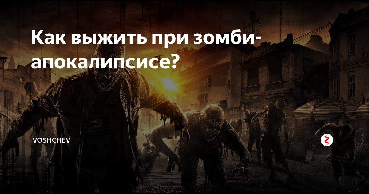 Зомби апокалипсис бесконечно деньги. Как выжить при. Книга как выжить при АПОКАЛИПСИСЕ. Люди как при зомбиаппокалипсисе. Реальные шансы выжить при зомби АПОКАЛИПСИСЕ.