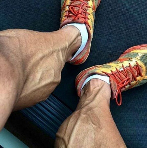 Икроножные Арнольда Шварценеггера