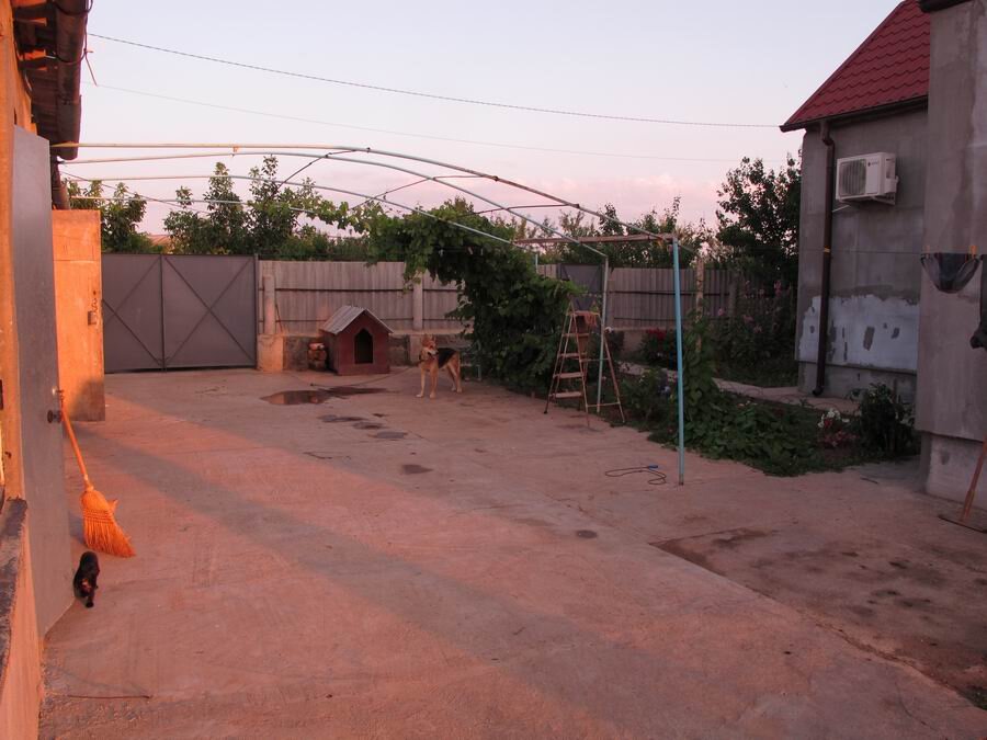 Вид от дверей моей конурки на двор. Рядом еще несколько сарайчиков для отдыхающих 