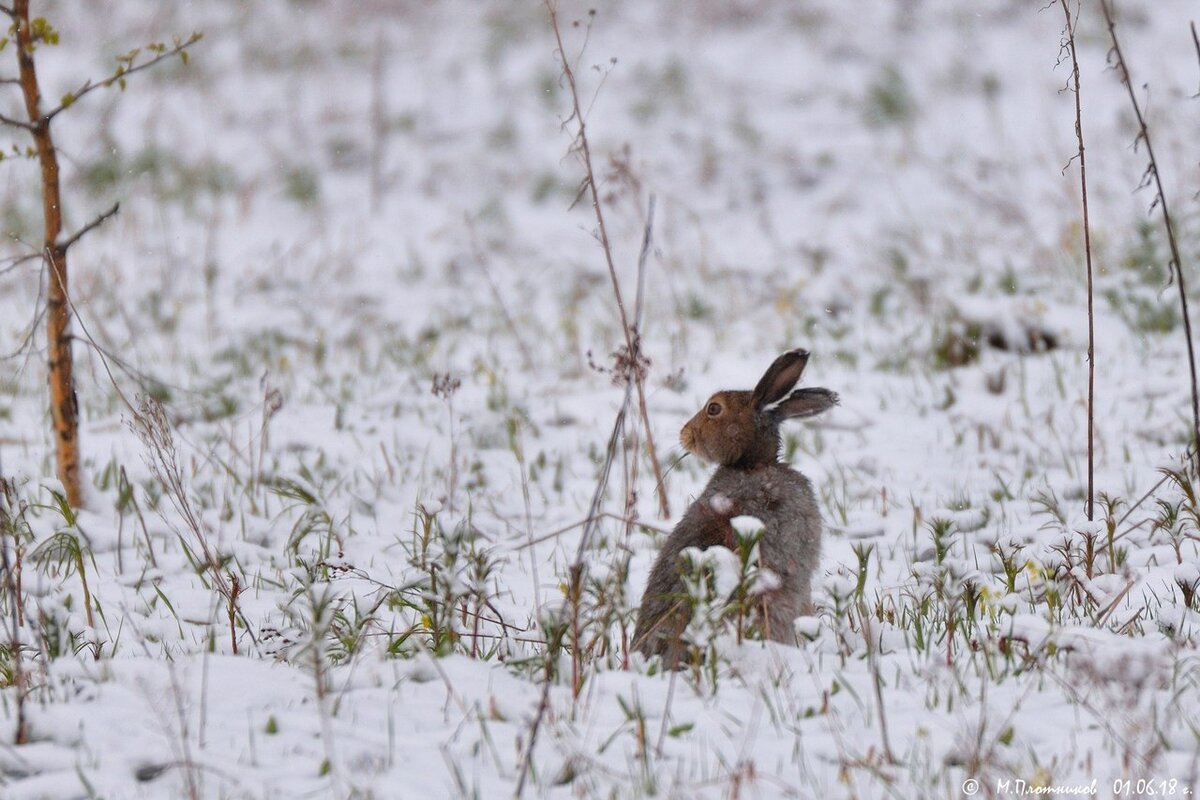    Фото: Михаил Плотников     