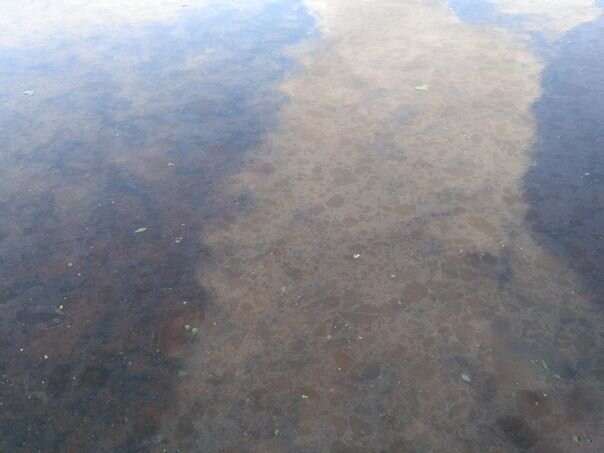  Фото: соцсети