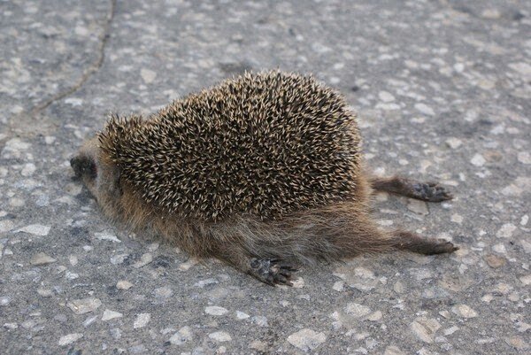 Я занимаюсь построением управленческого учёта для предпринимателей уже 15 лет. На страницах Дзен я рассказываю о своей практике, описываю примеры из практики и рассказываю об основах построения управленческого учёта и других моментах предпринимательства. В этой статье поговорим о подборе персонала