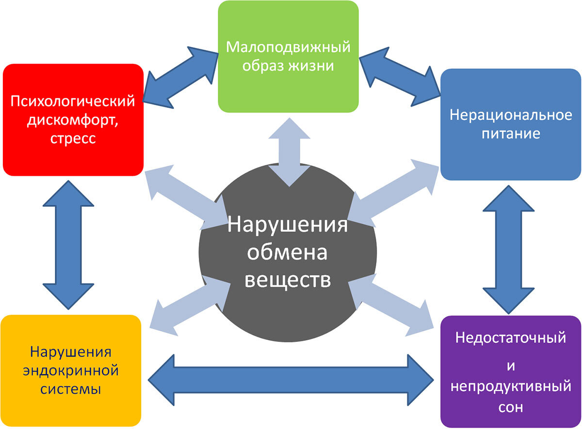 Метаболизм после 50