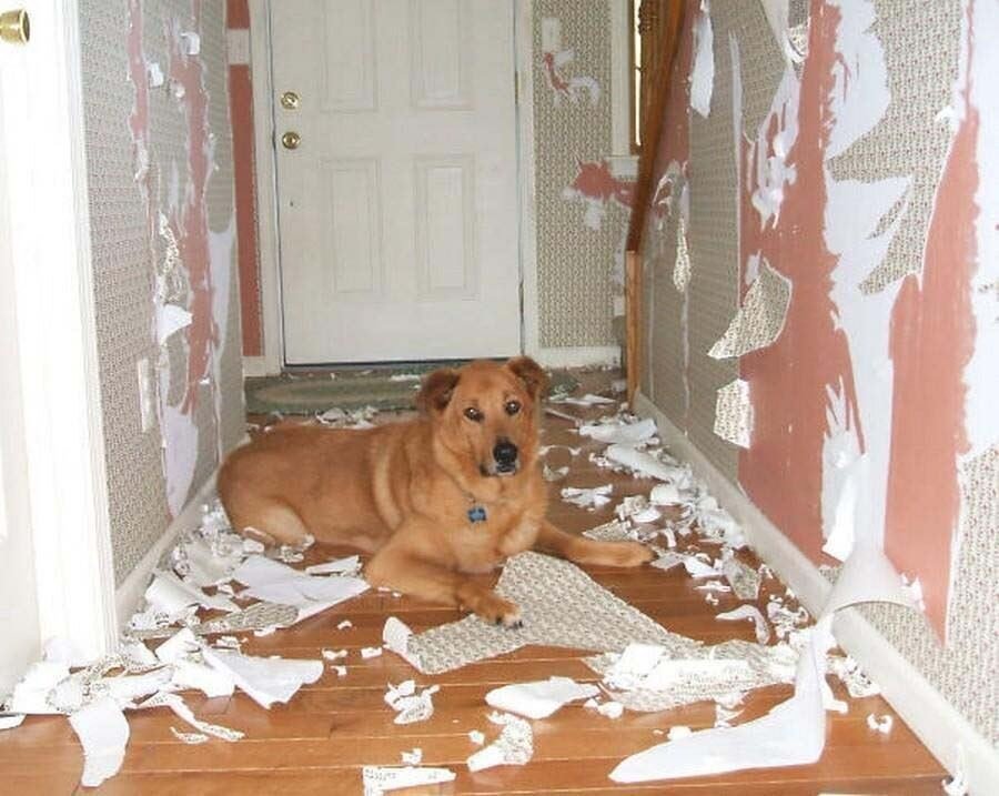 -2