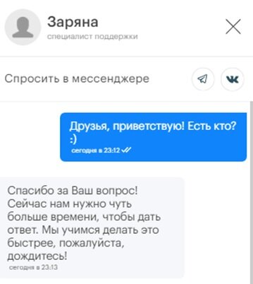Фрагмент онлайн-чата на сайте ГК «ПИК». Ответили в 23:30 по московскому времени.
