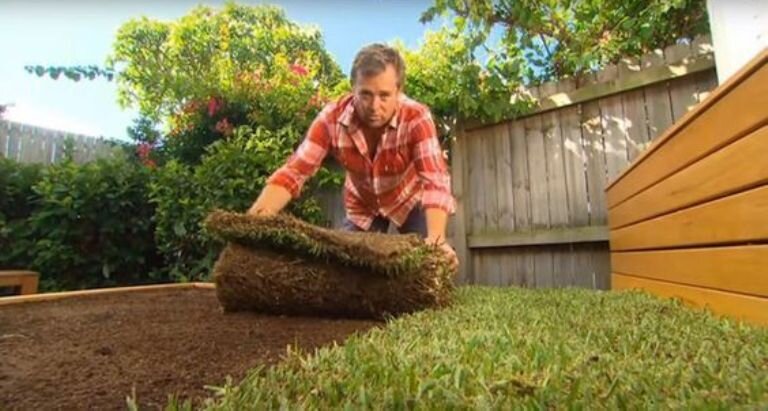 Распределение газона на каркас кровати