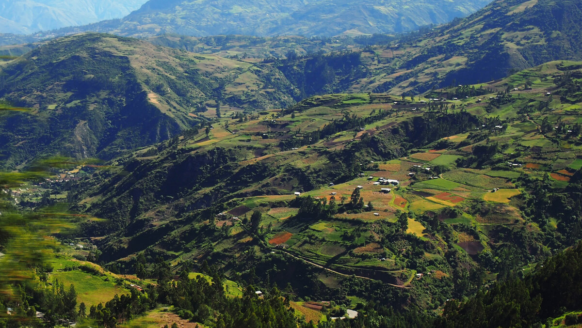 Хотелось выпрыгнуть