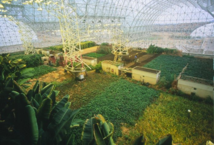 Поле для выращивания пищи жителями проекта "Биосфера-2". Источник изображения: issuesss.xyz