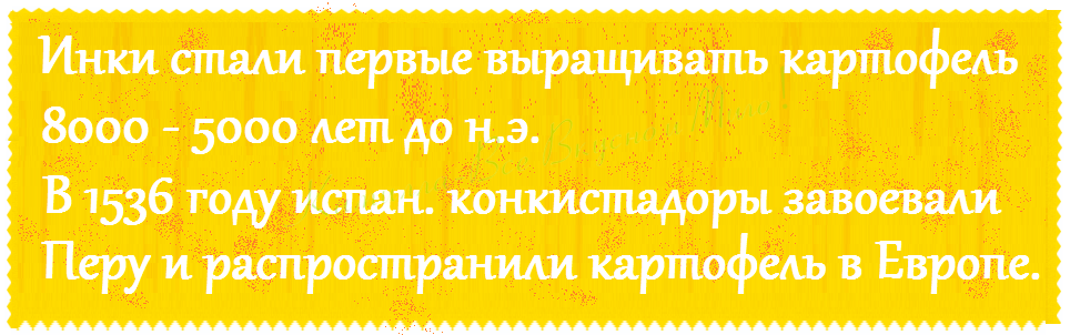 Интересный факт