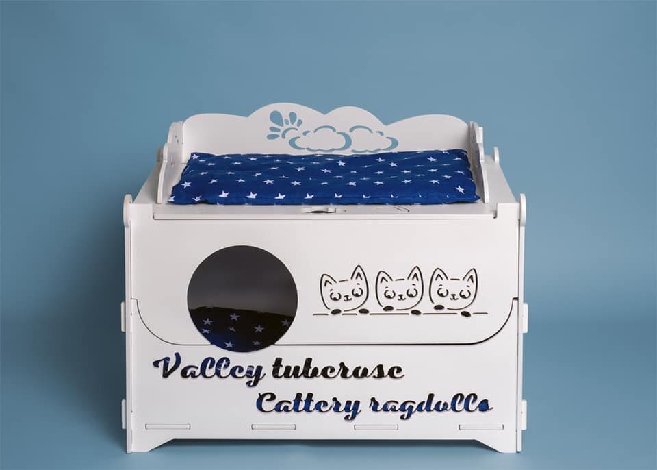 Наш родильный домик для мамы и котят