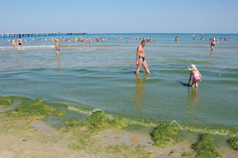 Джемете в июле. Джемете море. Джемете море цветет. Море в Джемете в августе. Море в Витязево в августе.