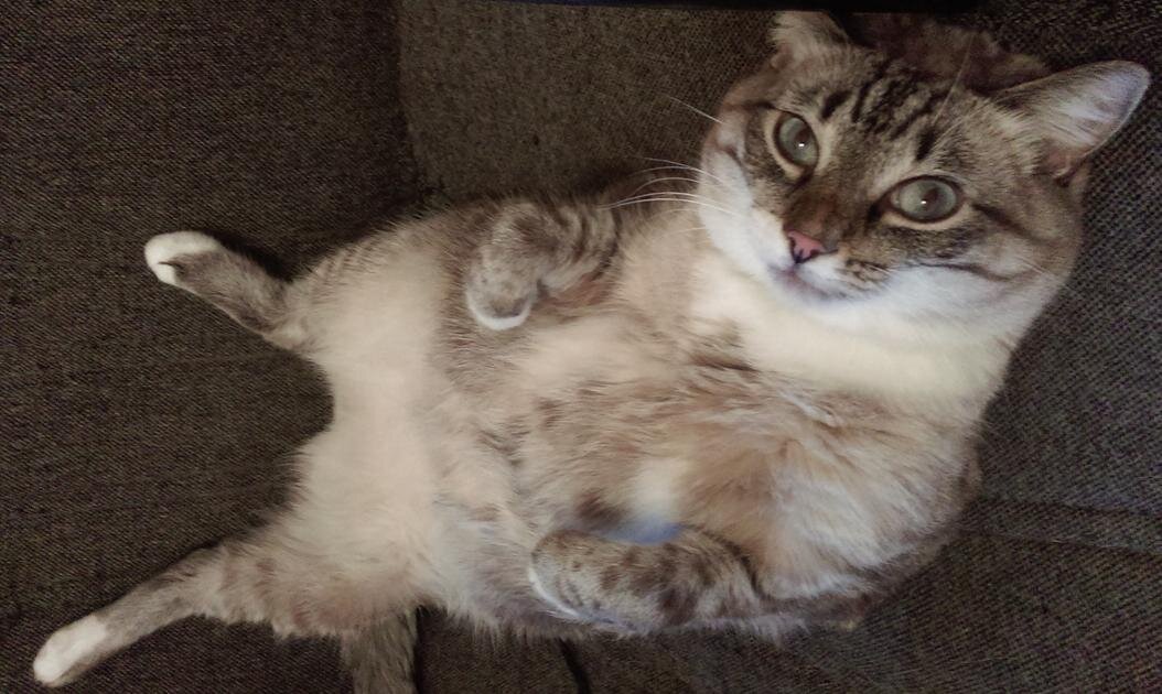 - Я уже вижу себя за рулем собственного Феррари