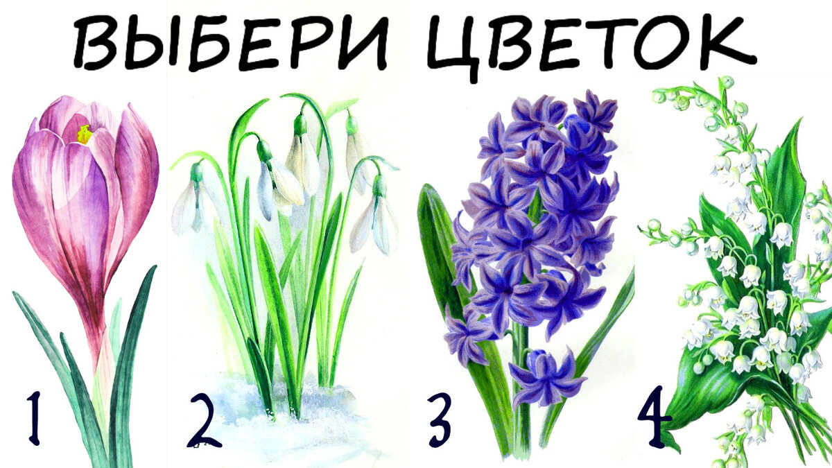 Тест выбери цветок. Психологический тест выбери цветок. Тест про цветы с картинками. Цветочный тест в картинках.