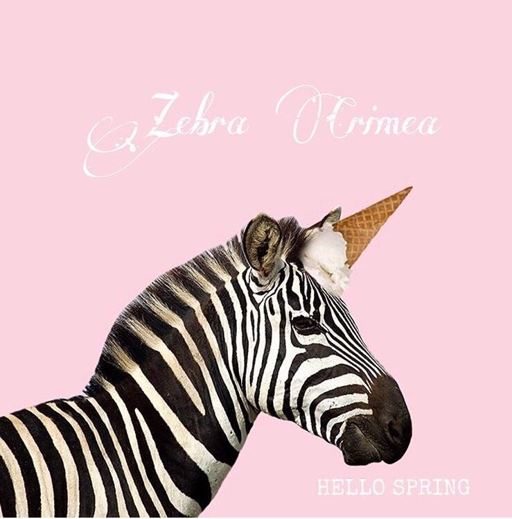 фото взято с сайта https://www.instagram.com/zebra_crimea/