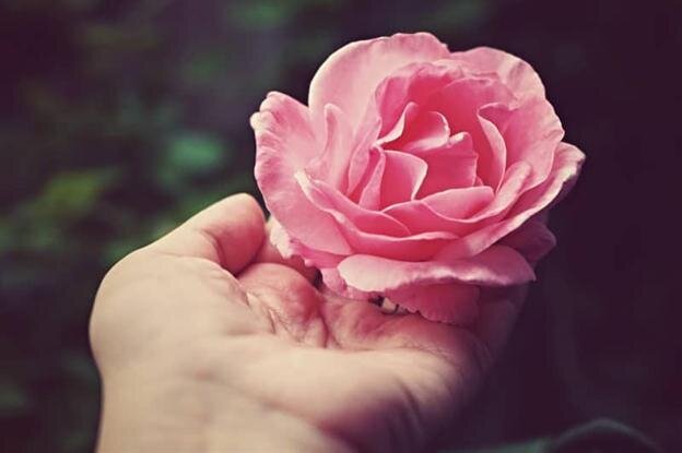 Фото: Яна Кужелова