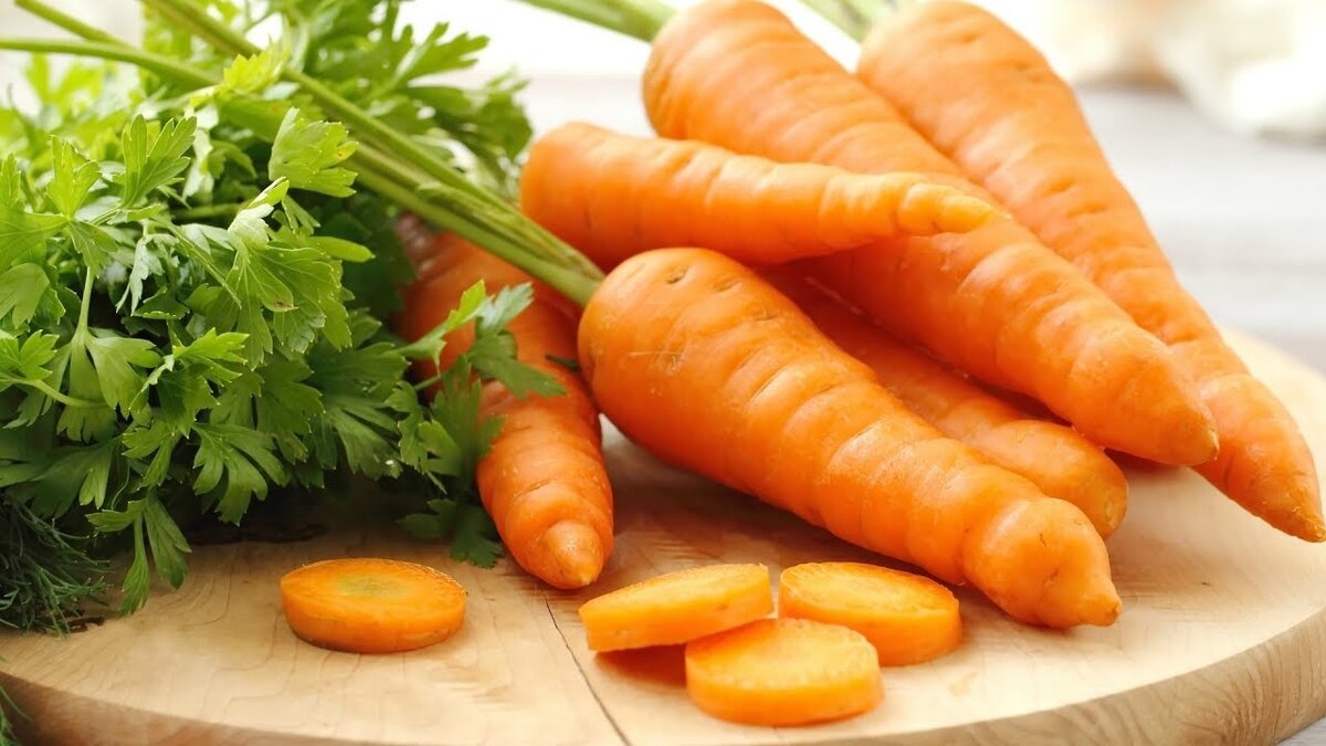    Морковь корнеплод, который занимает не последнее место на огороде. И чтобы она выросла вкусной, сочной и хорошо сохранилась, ее нужно своевременно подкармливать.