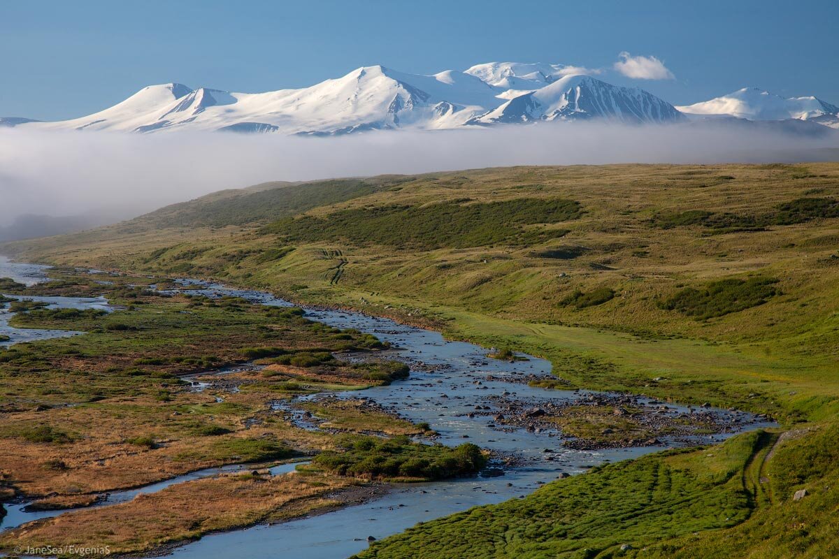 Плато Укок плоскогорье