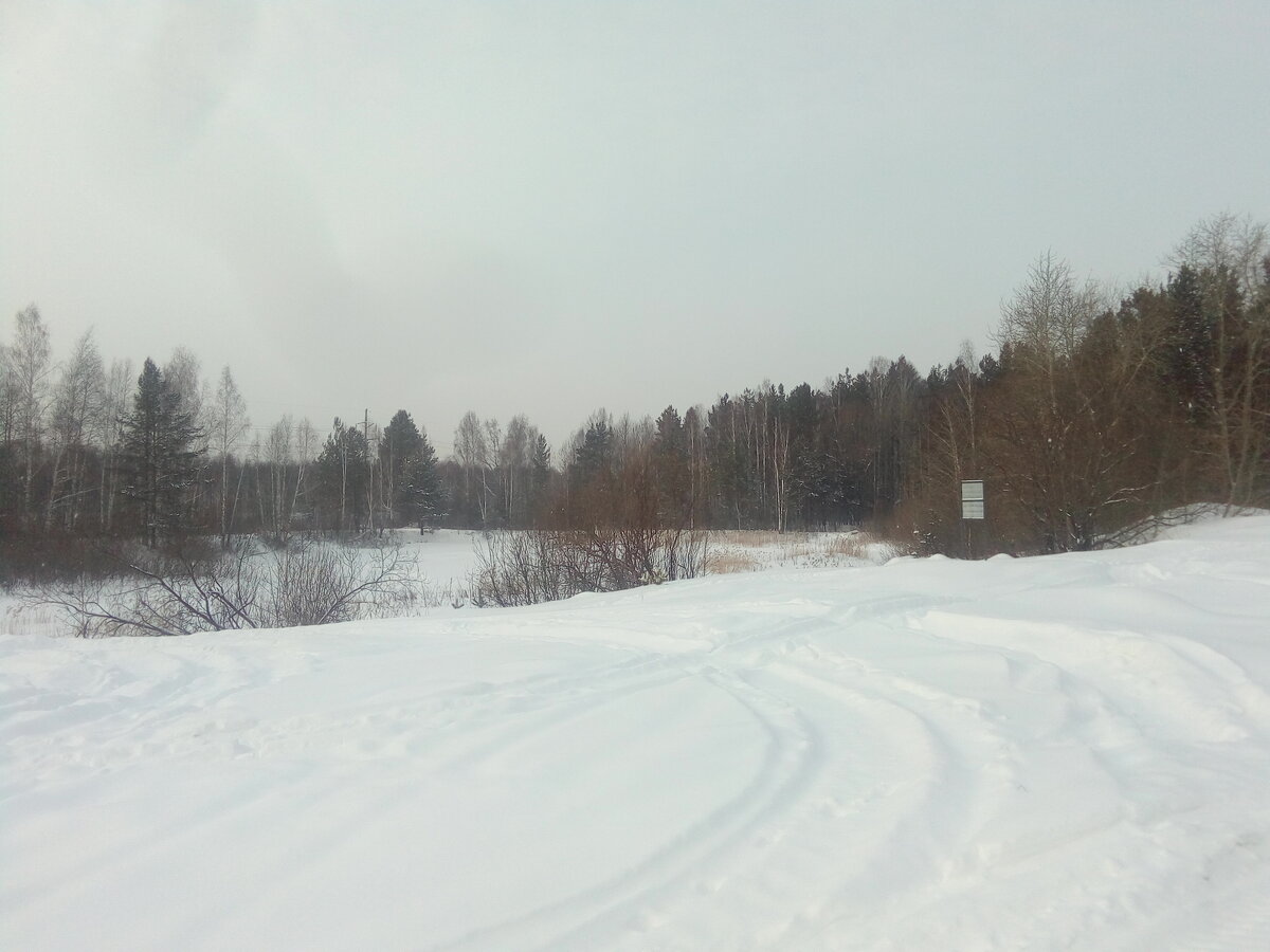 Восточный берег среднего Жулановского озера.