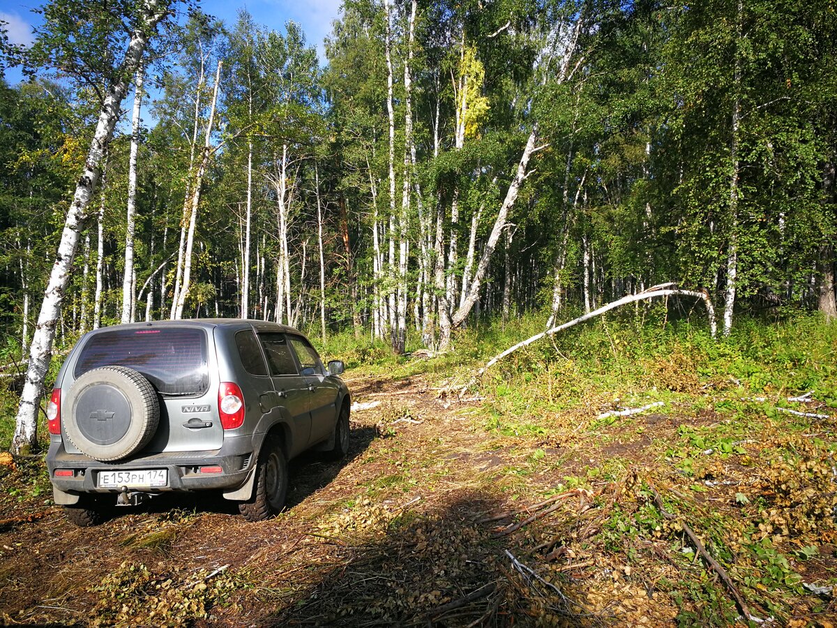 Дорога до хребта Алабия