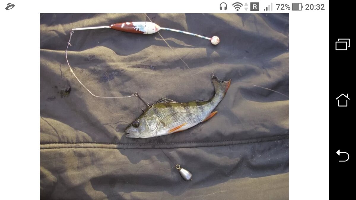 фото удочка на щуку, вместо снасти кружка на рыбалке с берега.