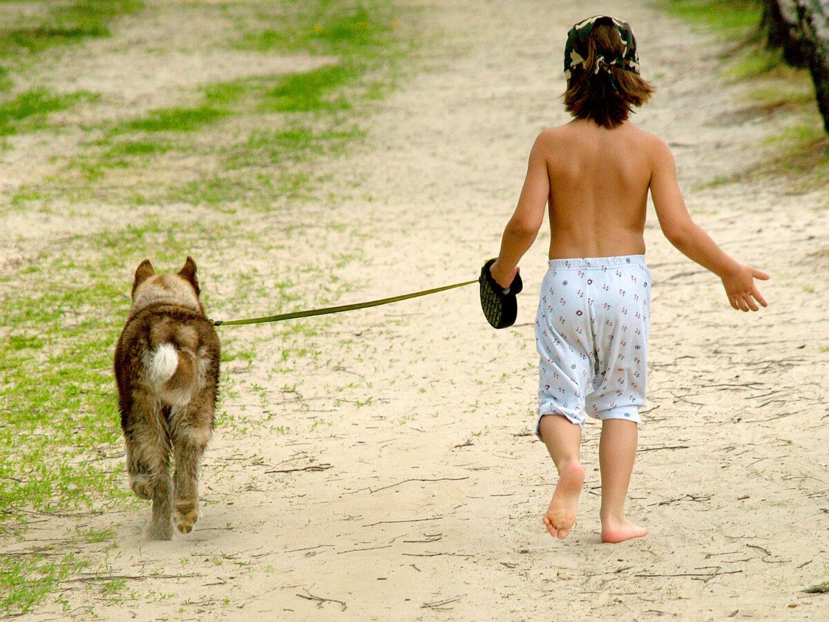 Три года делаю фото детей с одной и той же собакой. Это уже стало  традицией))) | In Dogs we Trust | Дзен