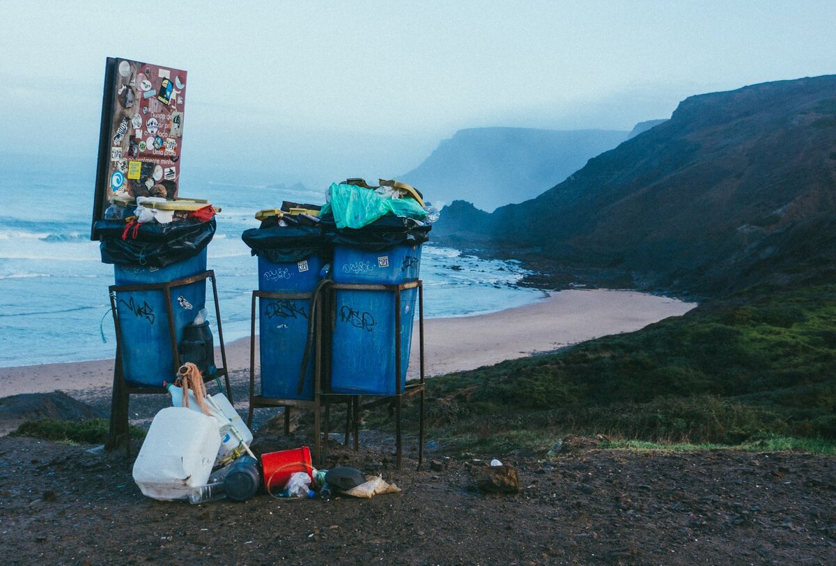 
Tobias Tullius / Unsplash