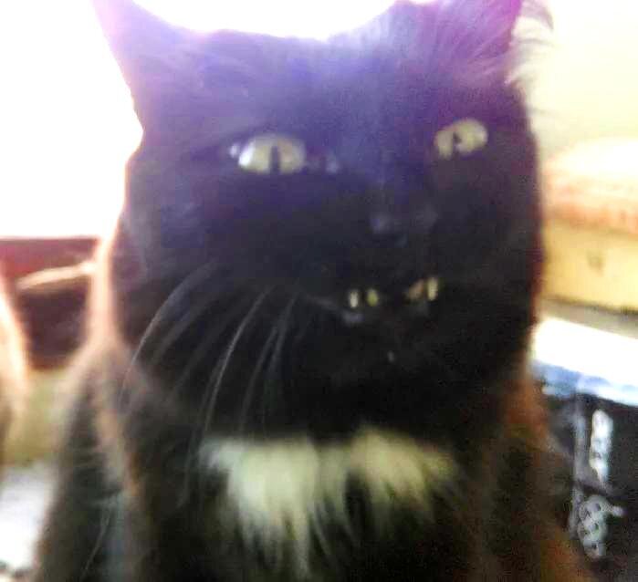 А так выглядит типичный эксперт (Ы-ы-ы-ы!)