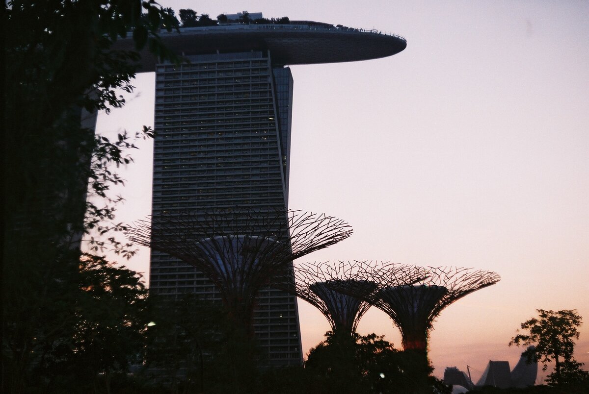 Марина Бэй и супер-деревья