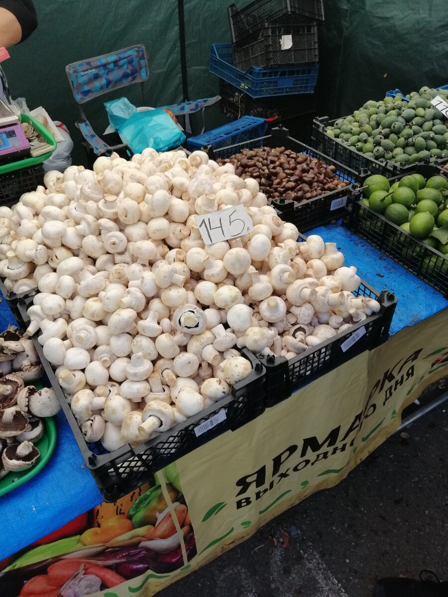 В какую цену продается