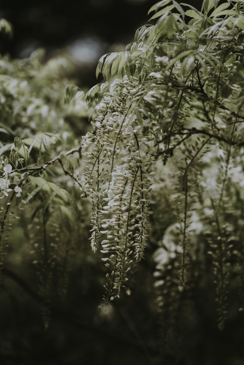 https://unsplash.com/photos/RwmzN3p-04c