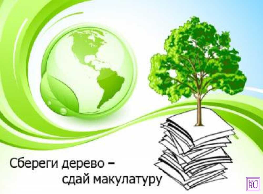 Фото с сайта www.sreda24.ru.