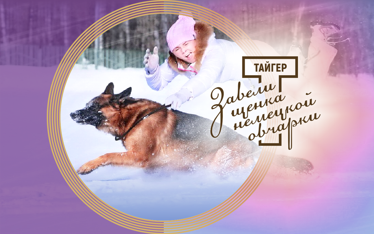 23 ноября 2019 года, суббота