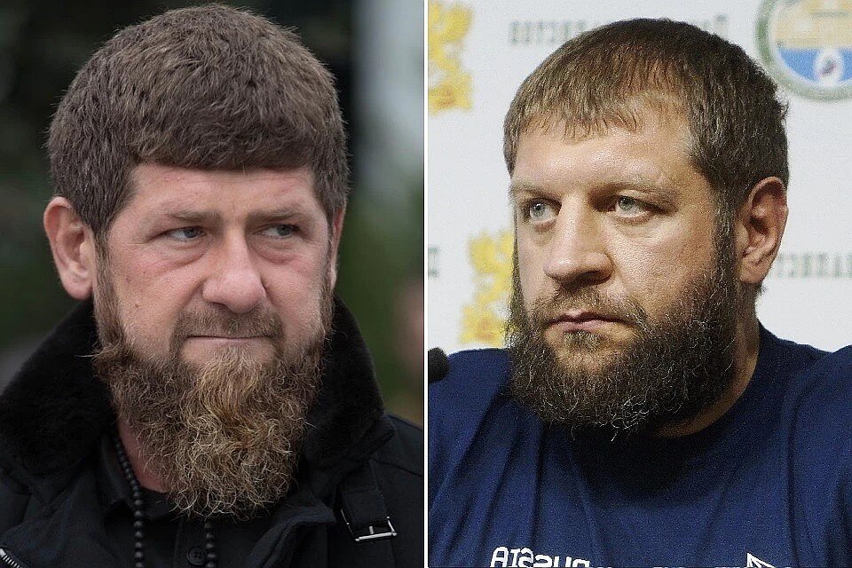 Источник Яндекс