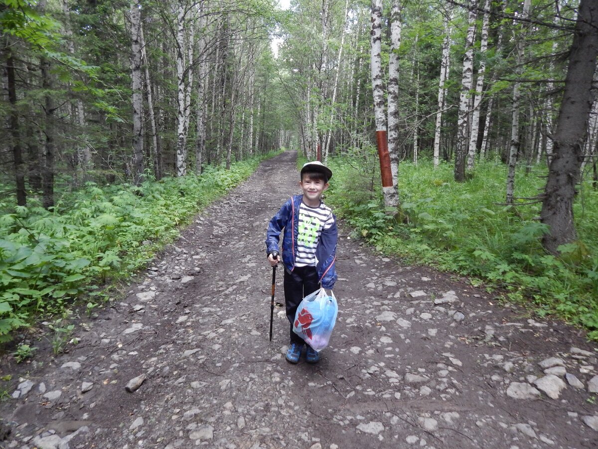 По идее на машине здесь ездить запрещено, но явно есть следы от колес. Возможно егери ее используют.