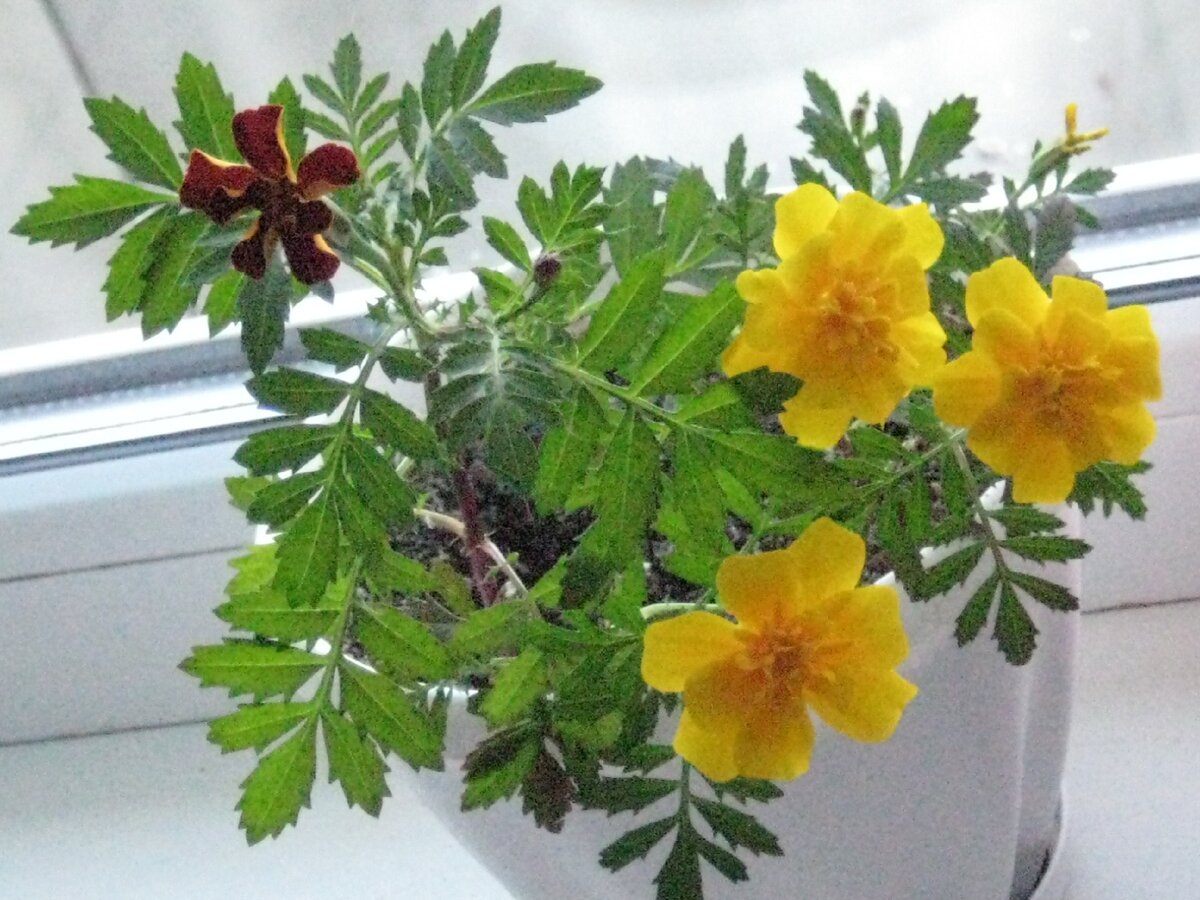 из личного фотоархива