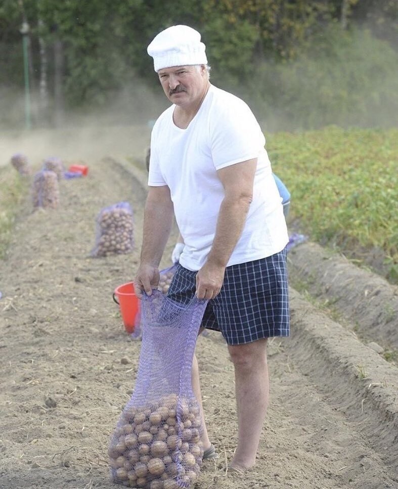 Александр Григорьевич Лукашенко в огороде. 