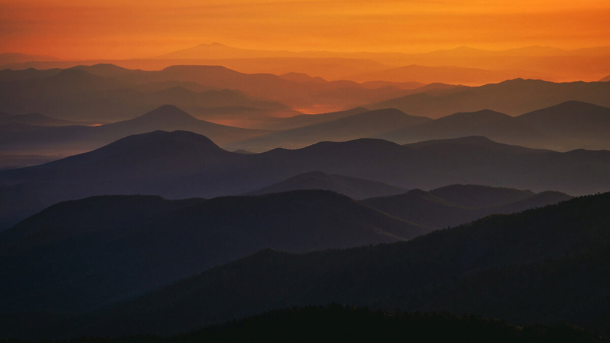 Фото: Виталий Берков