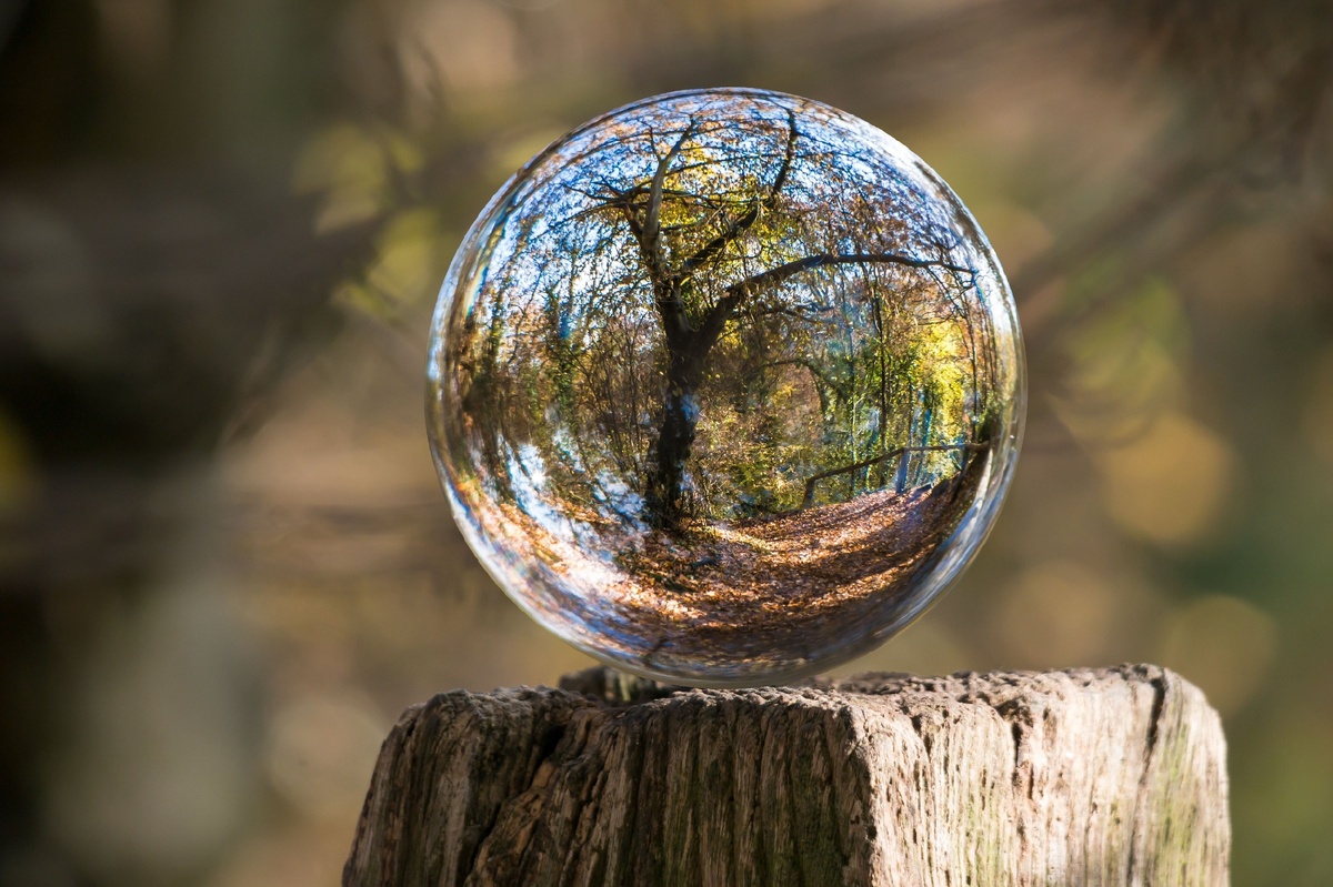 Сфера влияния