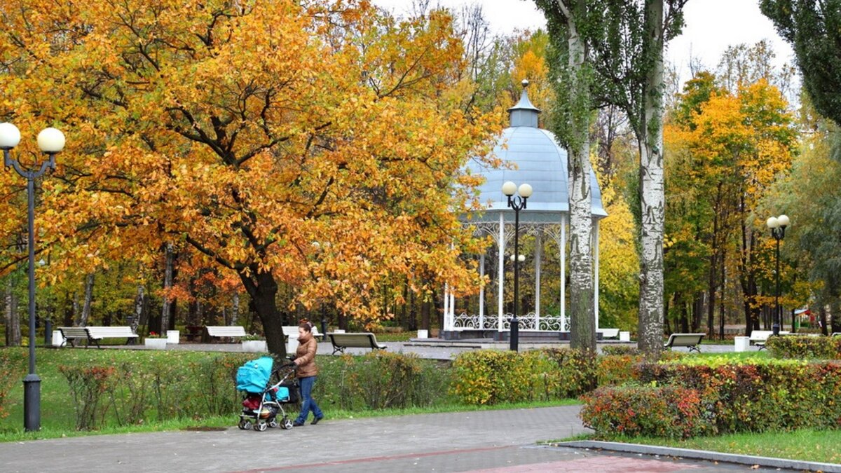 Измайловский парк Москва осенью