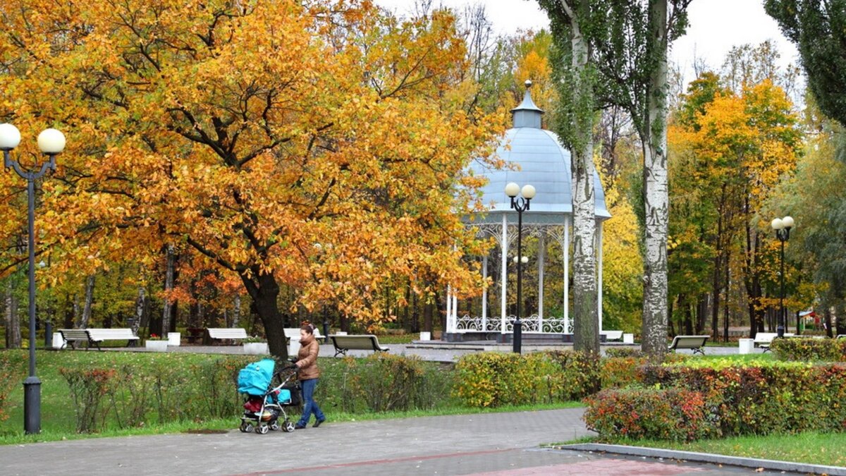 измайловский парк на старых