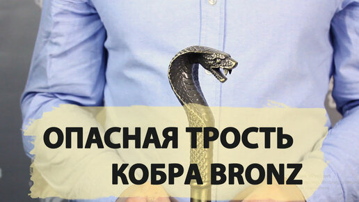 Трость для ходьбы с клинком | Кобра Bronze