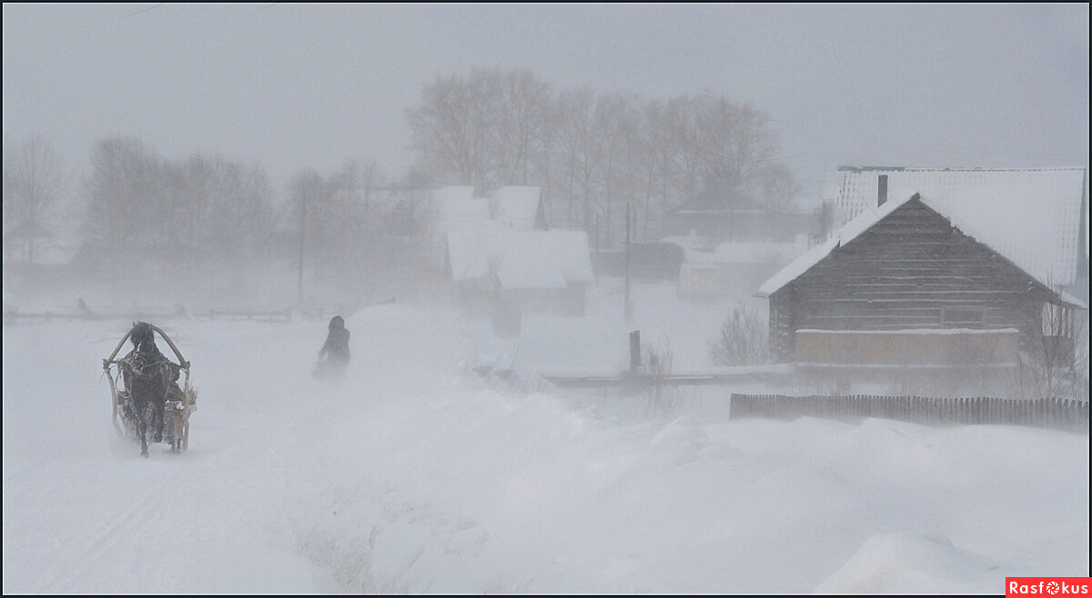 фото из интернета