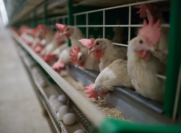 Фотография взята для иллюстрации